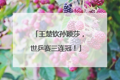 王楚钦孙颖莎，世乒赛三连冠！
