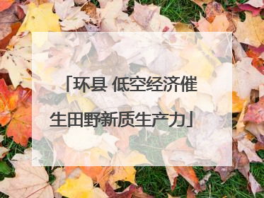 环县 低空经济催生田野新质生产力
