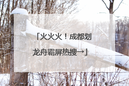火火火！成都划龙舟霸屏热搜→