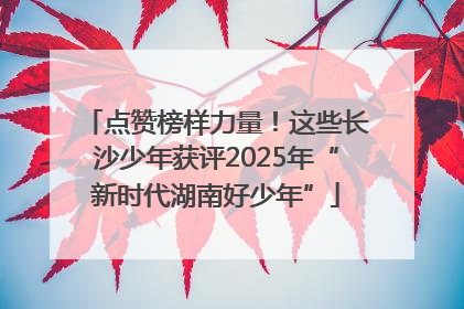 点赞榜样力量！这些长沙少年获评2025年“新时代湖南好少年”