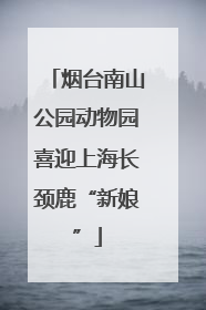 烟台南山公园动物园喜迎上海长颈鹿“新娘”