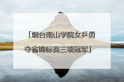 烟台南山学院女乒勇夺省锦标赛三项冠军