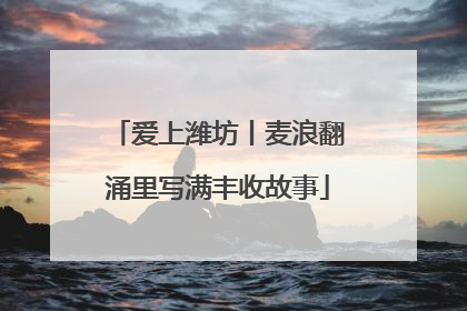 爱上潍坊丨麦浪翻涌里写满丰收故事