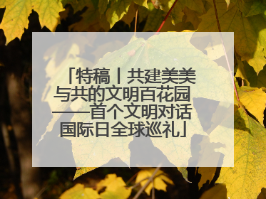 特稿丨共建美美与共的文明百花园——首个文明对话国际日全球巡礼
