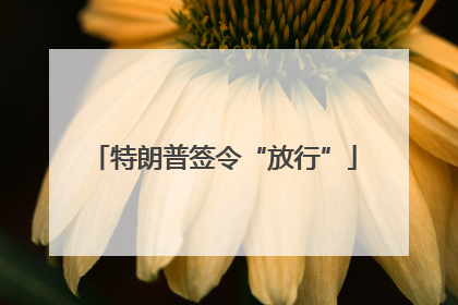 特朗普签令“放行”