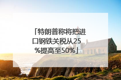 特朗普称将把进口钢铁关税从25%提高至50%