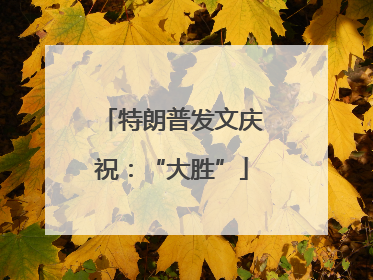 特朗普发文庆祝：“大胜”