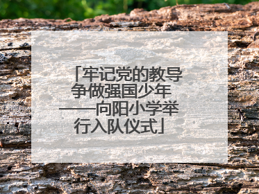 牢记党的教导 争做强国少年——向阳小学举行入队仪式