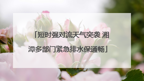 短时强对流天气突袭 湘潭多部门紧急排水保通畅