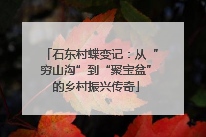 石东村蝶变记：从“穷山沟”到“聚宝盆”的乡村振兴传奇