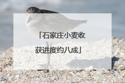 石家庄小麦收获进度约八成