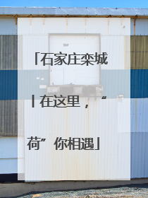 石家庄栾城丨在这里，“荷”你相遇
