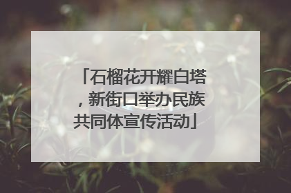 石榴花开耀白塔，新街口举办民族共同体宣传活动