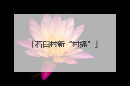 石臼村新“村播”