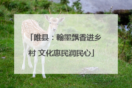 睢县：翰墨飘香进乡村 文化惠民润民心