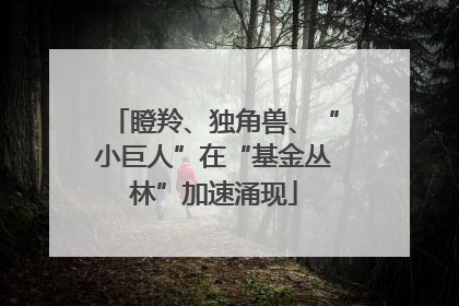 瞪羚、独角兽、“小巨人”在“基金丛林”加速涌现