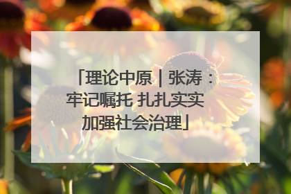 理论中原｜张涛：牢记嘱托 扎扎实实加强社会治理