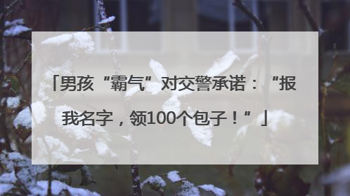 男孩“霸气”对交警承诺：“报我名字，领100个包子！”