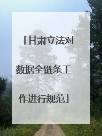 甘肃立法对数据全链条工作进行规范