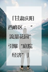 甘肃庆阳西峰区：“流量花园”引爆“庭院经济”