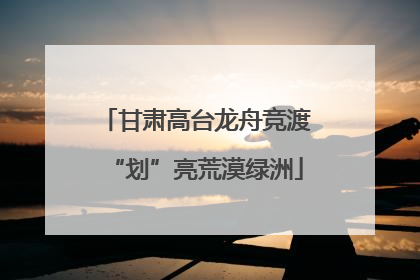 甘肃高台龙舟竞渡“划”亮荒漠绿洲