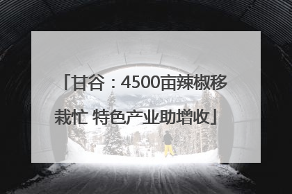 甘谷：4500亩辣椒移栽忙 特色产业助增收