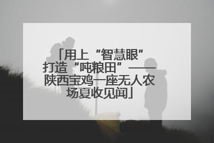 用上“智慧眼” 打造“吨粮田”——陕西宝鸡一座无人农场夏收见闻