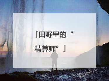田野里的“精算师”
