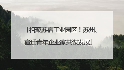 相聚苏宿工业园区！苏州、宿迁青年企业家共谋发展