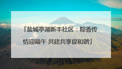 盐城亭湖新丰社区：粽香传情迎端午 共建共享促和谐