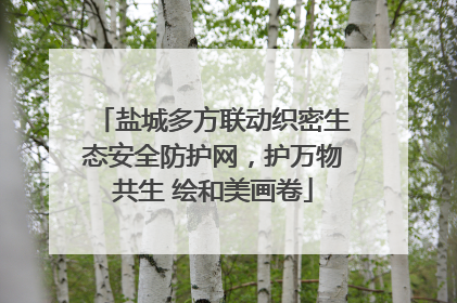 盐城多方联动织密生态安全防护网，护万物共生 绘和美画卷