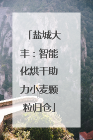 盐城大丰：智能化烘干助力小麦颗粒归仓