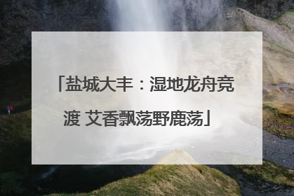 盐城大丰：湿地龙舟竞渡 艾香飘荡野鹿荡