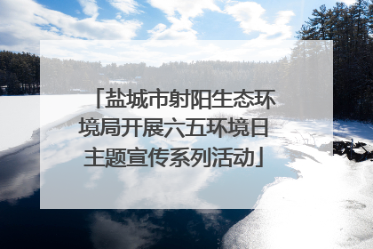 盐城市射阳生态环境局开展六五环境日主题宣传系列活动
