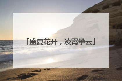 盛夏花开，凌霄攀云