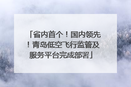 省内首个！国内领先！青岛低空飞行监管及服务平台完成部署