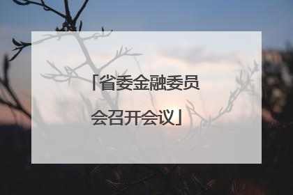 省委金融委员会召开会议