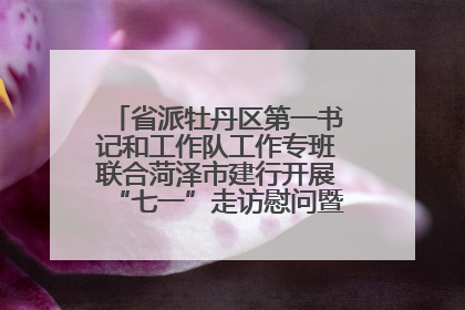 省派牡丹区第一书记和工作队工作专班联合菏泽市建行开展“七一”走访慰问暨红色教育活动