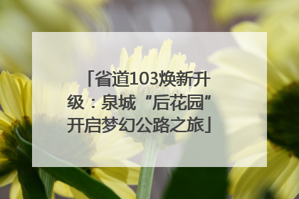 省道103焕新升级：泉城“后花园”开启梦幻公路之旅