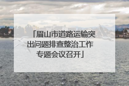 眉山市道路运输突出问题排查整治工作专题会议召开