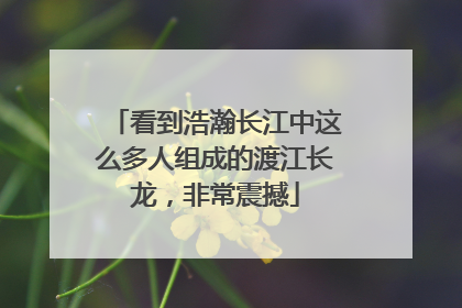 看到浩瀚长江中这么多人组成的渡江长龙，非常震撼