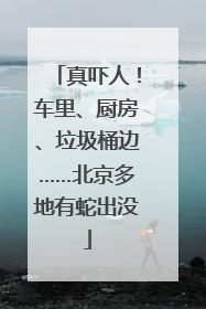 真吓人！车里、厨房、垃圾桶边……北京多地有蛇出没