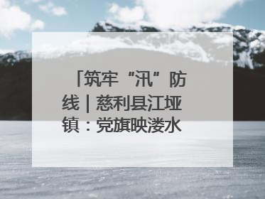 筑牢“汛”防线｜慈利县江垭镇：党旗映溇水 清淤见担当