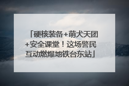 硬核装备+萌犬天团+安全课堂！这场警民互动燃爆地铁台东站