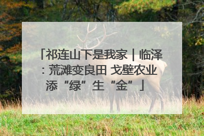 祁连山下是我家｜临泽：荒滩变良田 戈壁农业添“绿”生“金”