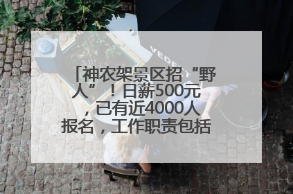 神农架景区招“野人”！日薪500元，已有近4000人报名，工作职责包括“接受游客投喂”