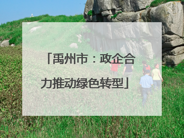 禹州市：政企合力推动绿色转型