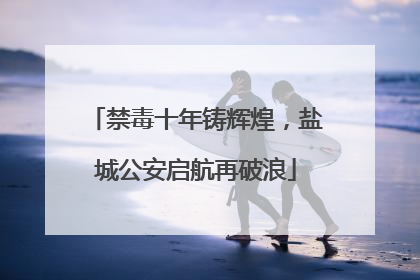 禁毒十年铸辉煌，盐城公安启航再破浪