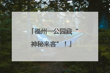 福州一公园藏“神秘来客”！