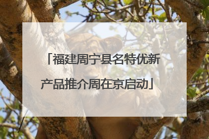 福建周宁县名特优新产品推介周在京启动